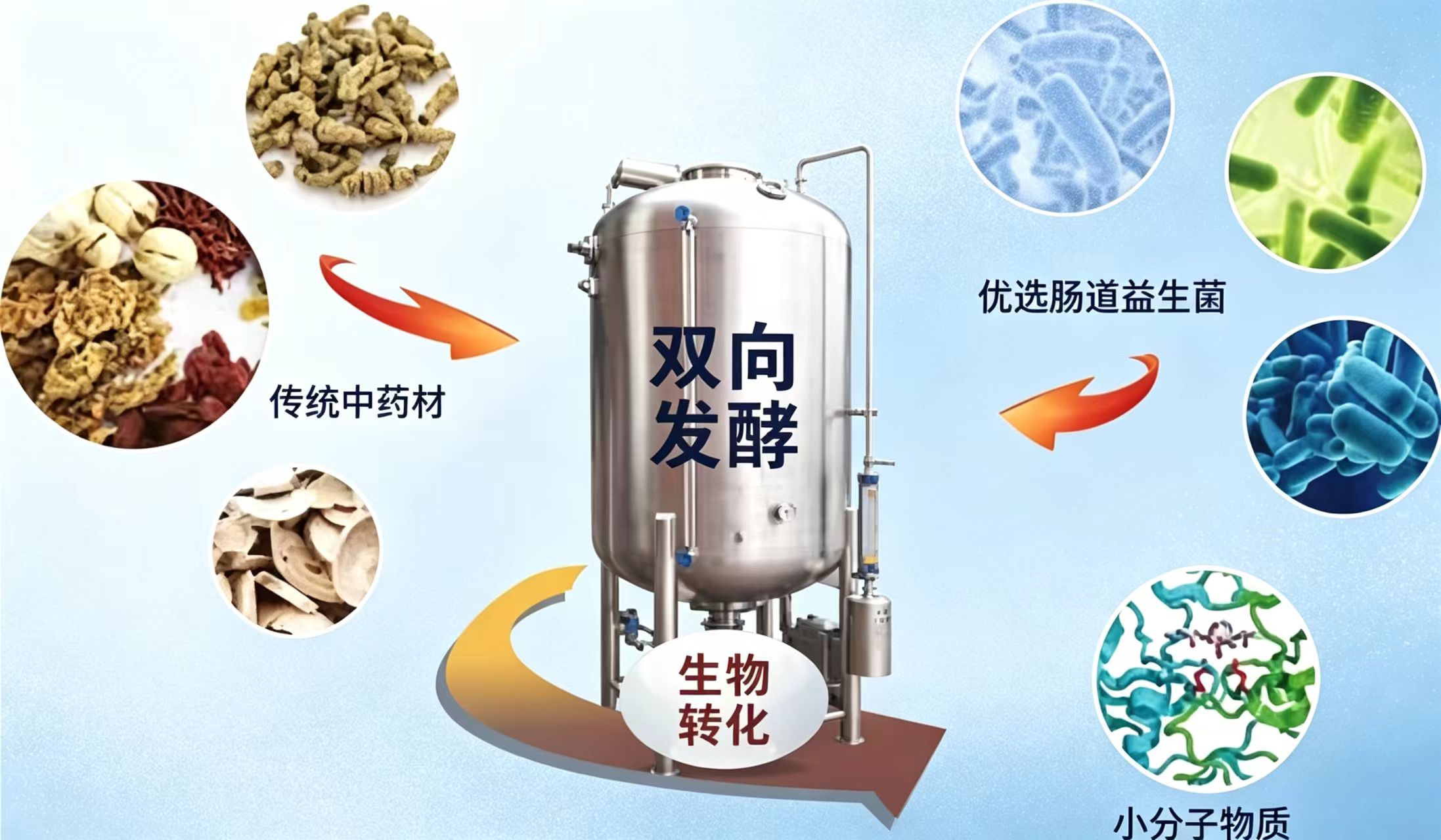 双向发酵 · 生物转化