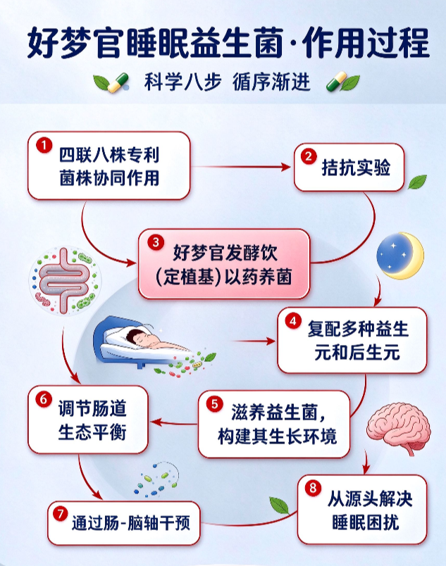 好梦官睡眠益生菌 · 作用过程 · 科学八步