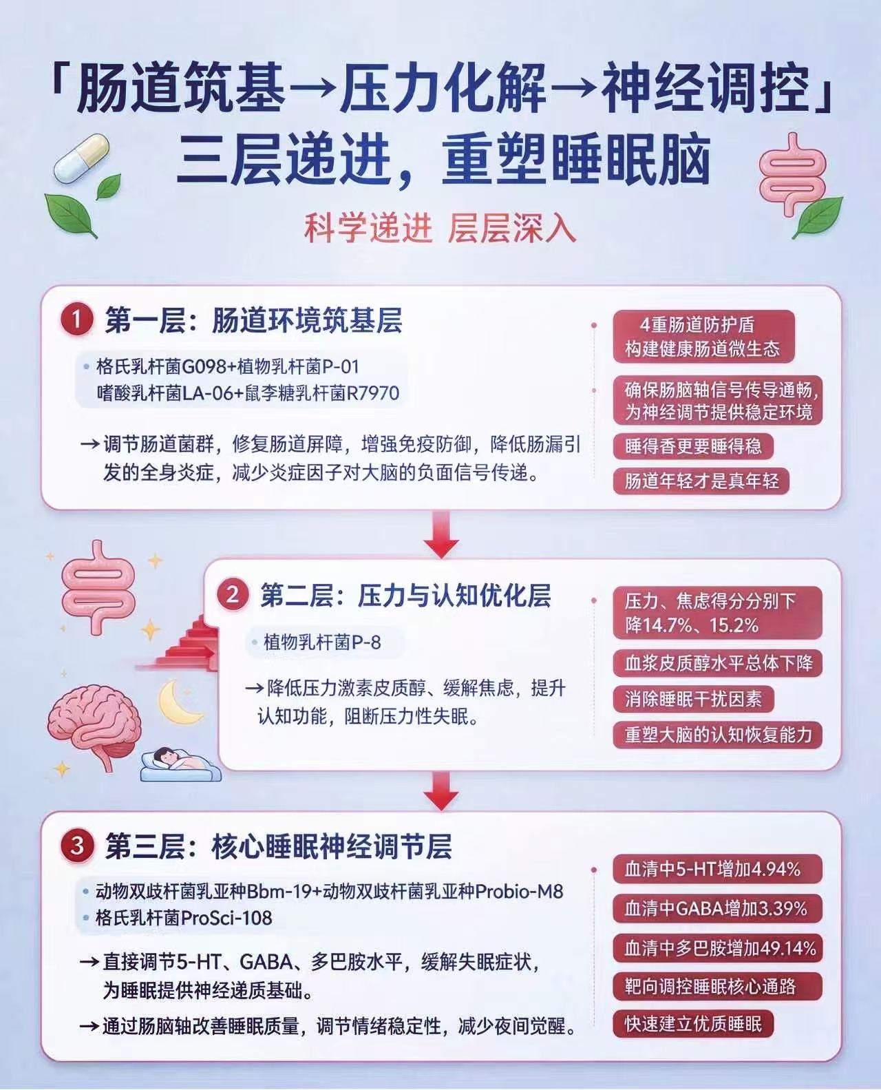 肠道筑基→压力化解→神经调控 三层递进